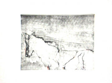 Monotipo25: Caballo 3 - 2008 - Plancha 16x12cm - Papel 250 gr. Canson Guarro